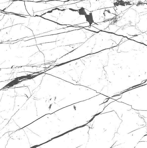 Black Veined White Marble