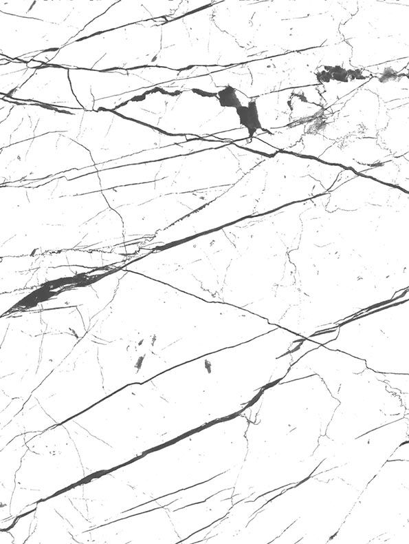 Black Veined White Marble